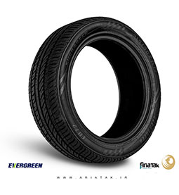 نمایندگان لاستیک EVERGREEN
